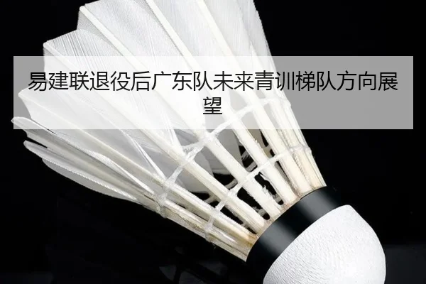 易建联退役后广东队未来青训梯队方向展望